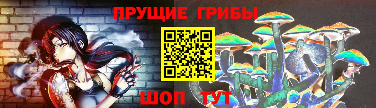 Псилоцибиновые грибы Cubensis  где можно купить наркотик  Аргун  Вход с VPN 