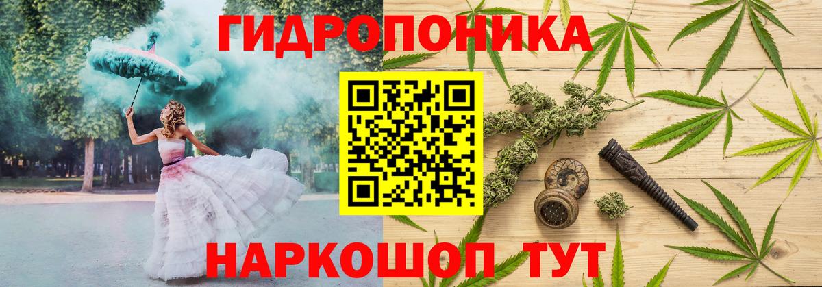 Бошки Шишки марихуана Аргун